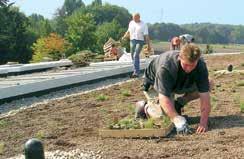 OPTIGROEN PRODUCT VEGETATIE Aanleg van vegetatie Het groen van een dakbegroeiing en gevelbegroeiing kan op verschillende manieren op het dak worden aangeleverd en aangelegd.