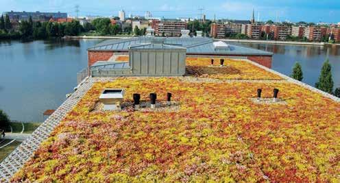 OPTIGROEN SYSTEEM LICHTGEWICHT DAK Vegetatielaag type Matten SM - Zie vo