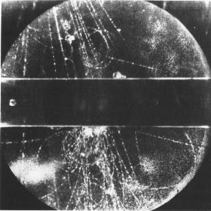 Ontdekkingen in kosmische