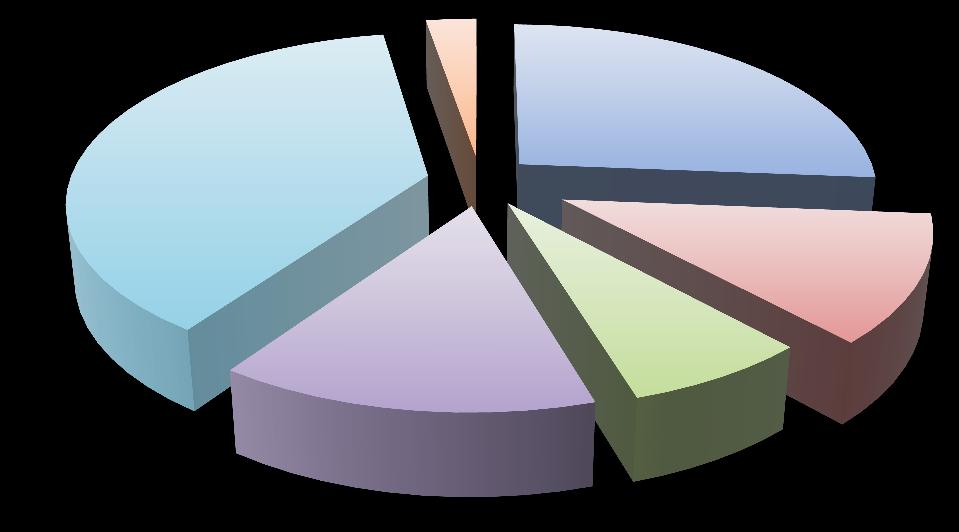 Toeristische logiescapaciteit (*) - 2015 Vakantielogies 2,7% Hotels 26,3% Logies voor doelgroepen