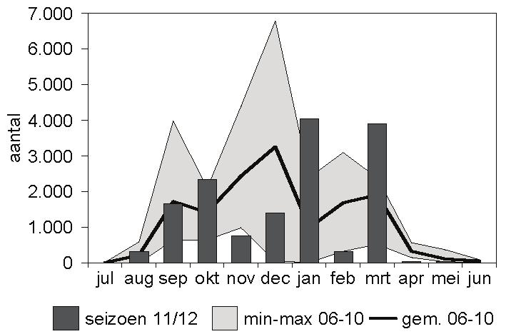 Smient Anas penelope Hoewel in oktober, januari en maart Smienten beduidend talrijker waren dan gemiddeld in de vijf seizoen daarvoor (figuur 29), droeg dit niet bij tot een hoger seizoensmaximum.