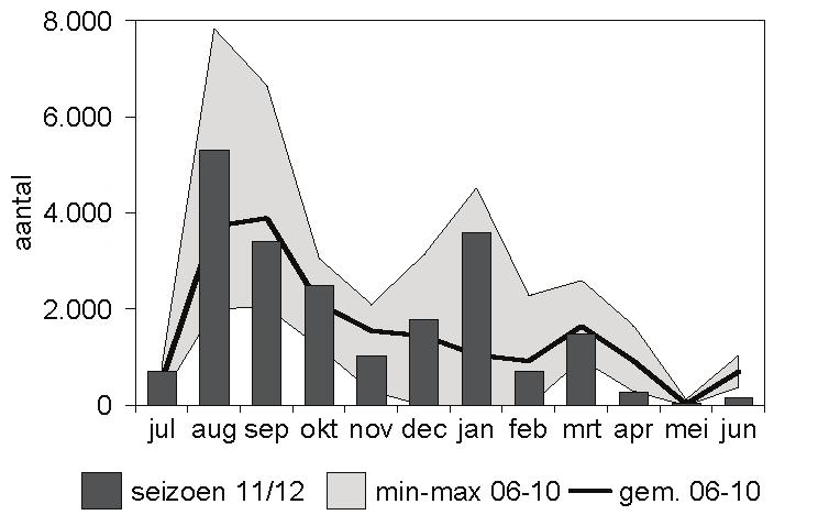 Watervogels in het Lauwersmeer in 2011/2012 Krakeend Anas strepera De trend van de Krakeend in het Lauwersmeergebied is positief (figuur 30), overeenkomend met de landelijke ontwikkelingen (Hornman