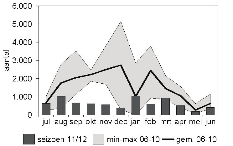 Gemiddeld haalden de Tafeleenden een tweemaal zo hoge opnamesnelheid in gezelschap van een Kleine Zwaan als wanneer ze alleen foerageerden (Gyimesi et al. 2012).