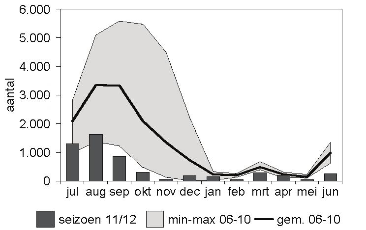 Meerkoet Fulica atra Wanneer de 2011/12-dip in de trend van de Meerkoet (figuur 41) naast die van de Kuifeend gelegd wordt, rijst het vermoeden dat de beschikbaarheid van driehoeksmosselen mogelijk