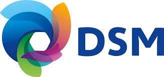 BUILDING THE BUSINESS CASE WITH DSM DSM developed new products on enzyme technology Isolation