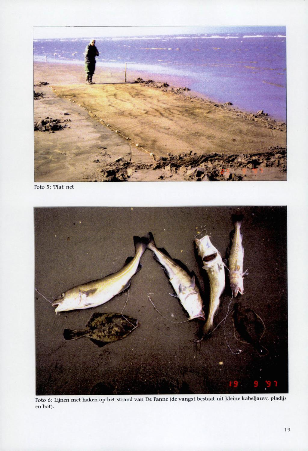 Foto 5 : 'Plat' net Foto 6: Lijnen met haken op het strand van De