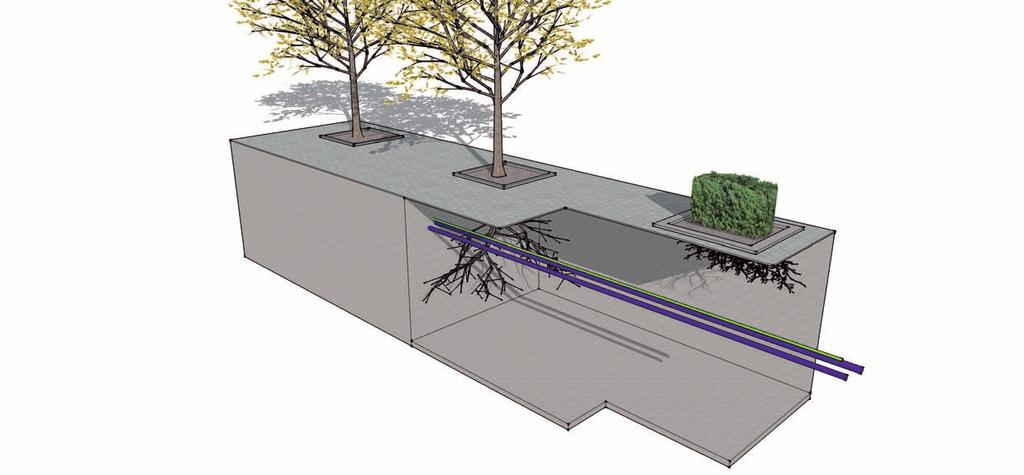 Vergroenen zonder boom Omschrijving: Vergroening van de straat wordt gerealiseerd door het toepassen van groen zonder wortels die diep de ondergrond in gaan.