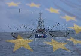 Europees Fonds voor Maritieme zaken en Visserij Doel duurzame en concurrerende visserij en aquacultuur evenwichtige en inclusieve territoriale ontwikkeling van Vlaamse visserijgebieden Budget 6,5