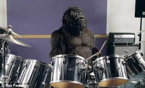 Hij wil ze muziekinstrumenten geven om te spelen. Kun jij een aap laten drummen?