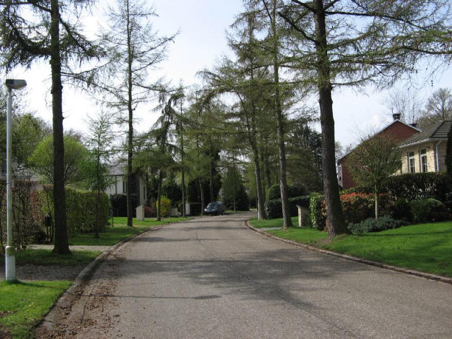 Onderzoek lorken in de Lorkenlaan te Kapellen De Lorkenlaan is een rustige straat zonder voetpaden.