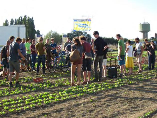 De tweede editie van de netwerkdag was een groot succes Vlaamse biosector gaat voor innovatie op maat De biologische tuinbouwsector in Vlaanderen bestaat voor een belangrijk deel uit kleine tot