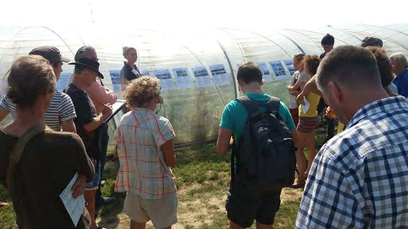 Tunnelsystemen voor groenten, aardbeien en kleinfruit Investeren in tunnels is eveneens investeren in kwaliteit, oogstzekerheid, verlenging van seizoen, Binnen deze workshop werd aangegeven voor