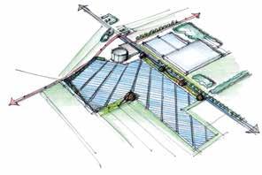 Leek Locatie: Leeksterveld te Leek Aantal ha: 20 ha