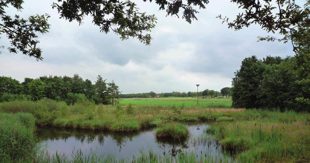 Wijkanalyses Assen Inleiding wijkanalyse, leefomgeving, meedoen en binding. De wijkanalyse is ontstaan er problemen. Met de wijkanalyses wordt dit in beeld gebracht.