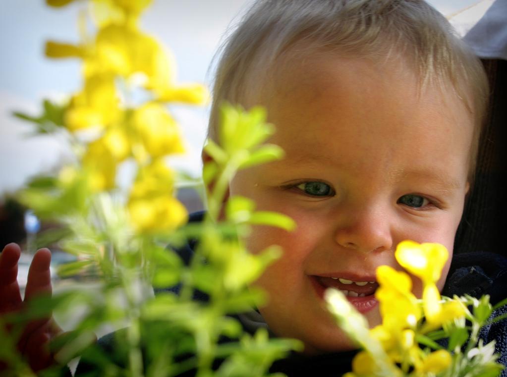 Situering Vlaams kinderopvanglandschap 12 - VVSG