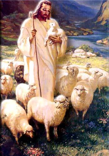Mijn Herder zijt Gij, o mijn Heer, aan niets ontbreekt het