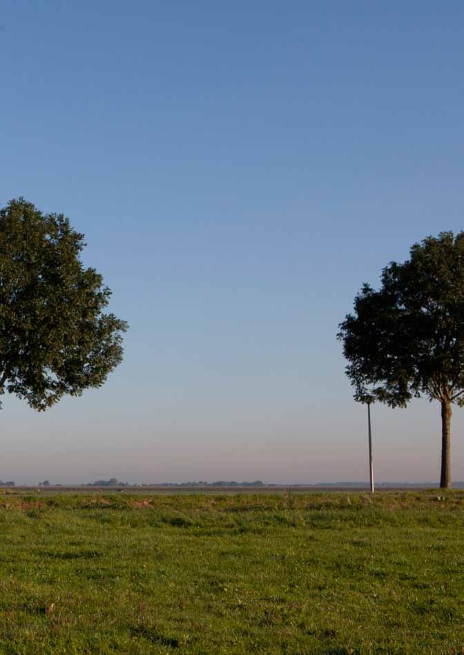 Die schoonheid is niet vanzelf gekomen en dat vergeten mensen nog wel eens. Biedt aan die tuinders en boeren ook de ruimte hun hun boterham in dat landschap te kunnen verdienen.