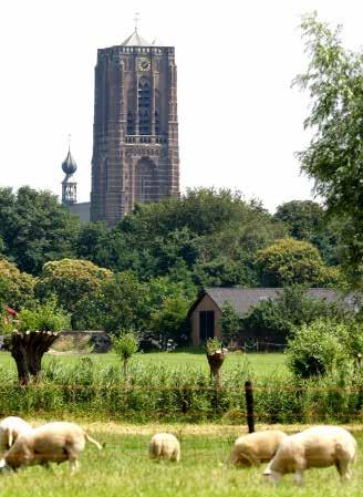 Daarom kiezen we er in het stedelijk gebied voor kansrijke transformaties van leegstaand vastgoed en de herontwikkeling van inbreidingslocaties te stimuleren.