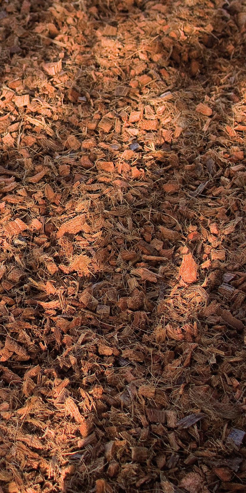 Natuurlijk, decoratief en functioneel Voordelen van bodembedekkers Minder onkruid Door de bodem in je tuin te bedekken met bodembedekkers wordt tuinieren een stuk makkelijker.