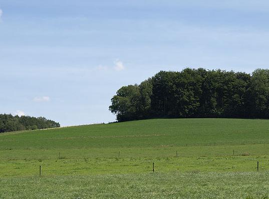 Strategisch gelegen grasland De laatste 5 jaar als akker gebruikt Door ALBON aangeduid Moet ingezaaid worden met