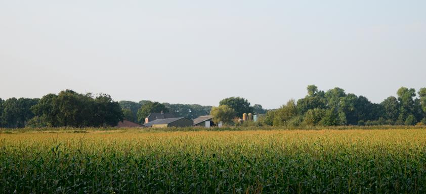 Het landelijk gebied Vinkel heeft een agrarisch karakter met veel groen en boerderijen. Aan de Vinkelsestraat ligt een voetbalvereniging.