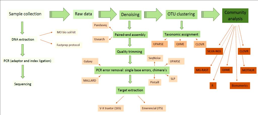 Cultuur onafhankelijke analyse Next Generation sequencing Geen