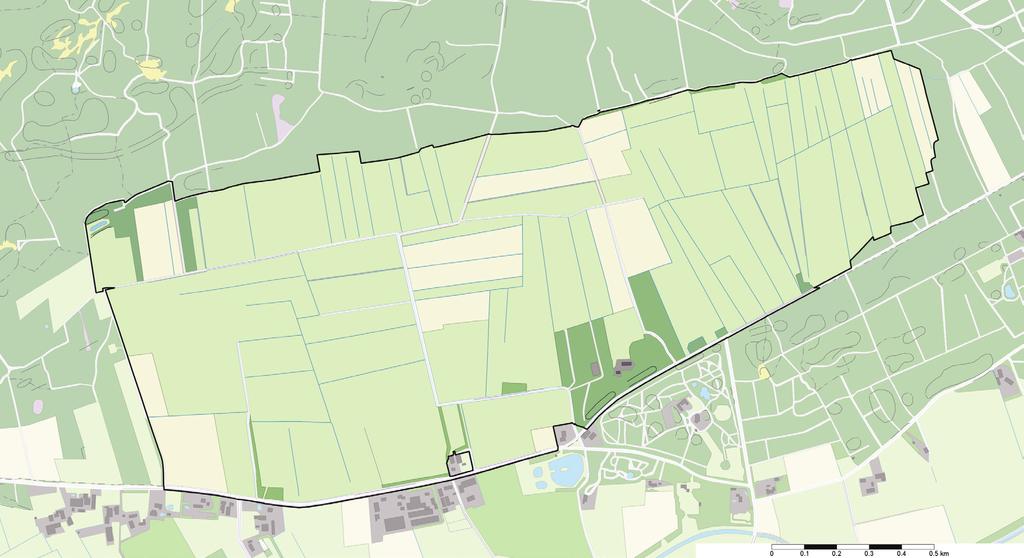 Broedvogels van het Hengstven in 2015 Nijlgans 2