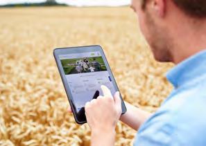 Krediet portefeuille food en agri wereldwijd naar sector 4 bouwstenen van voedsel zekerheid: Beschikbaar heid voedsel Toegankelijkheid voedsel Gezonde voeding Stabiliteit 15% Vlees 19%