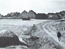Oost Belangrijk buurtschap of gehucht dat boven Oosterend ligt en van oudsher een zeevarende bevolking had, alhoewel het buurtschap voor een groot deel uit boerderijen bestond.
