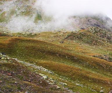 R ACEFIETS V A K A NTIE Tiroler Oberland,