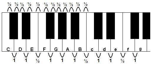 HELE en HALVE TONEN en de MAJEUR TOONLADDER. Om het toetsenbord van een piano of een keyboard overzichtelijk te houden is het verdeeld in witte en zwarte toetsen.
