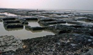 Sporen en structuren Tijdelijke structuren zoals tenten, hutten, en allerhande schuilplaatsen werden al vervaardigd in het paleolithicum, een paar honderdduizend jaar geleden.