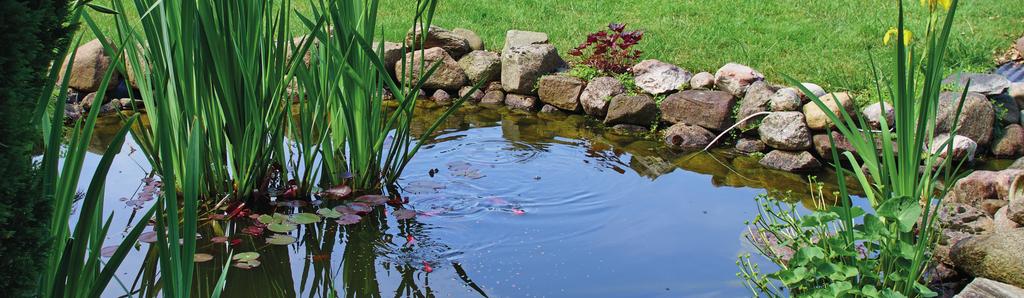 Tip! Installeer een ondergrondse watervoorziening met een elektrische pomp, dan kun je het water gebruiken om je tuin te sproeien.