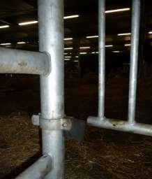 4 1. De veemarkt in Leeuwarden (NL) en varkenslachterij Vion in Groenlo (NL) hebben rubberen shock aborbers geplaatst bij hun hekken om geluid te verminderen. 2.