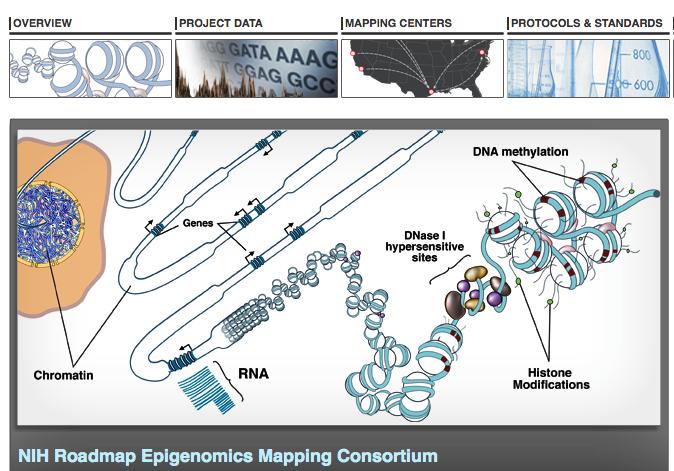 Epigenomics Today