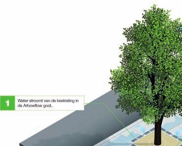 ADVERTORIAL In Bergen op Zoom verzorgde Krinkels vorig jaar fundering voor parkeervakken en groeiplaatsverbetering voor bomen.
