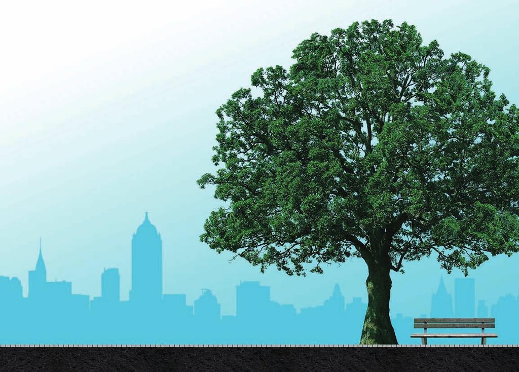 STADSBOMEN IN DE KNEL Alles over Groenbeheer geeft uw stadsbomen een eerlijke groeikans Groeiplaatsonderzoek Bomen Effect Analyse Ontwerp- en inrichtingsadvies