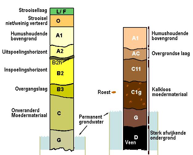 Het maken van een lakprofiel Voor het vastleggen van sedimentaire structuren is een methode ontwikkeld.