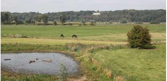 Rivierkleibodems zijn de overheersende bodems in het stroomgebied van Rijn, Maas, Waal