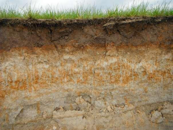 Om zich te ontwikkelen, heeft een bodem tijd nodig. Sommige bodems vormen zich binnen enkele tientallen jaren, andere hebben tienduizenden jaren nodig.