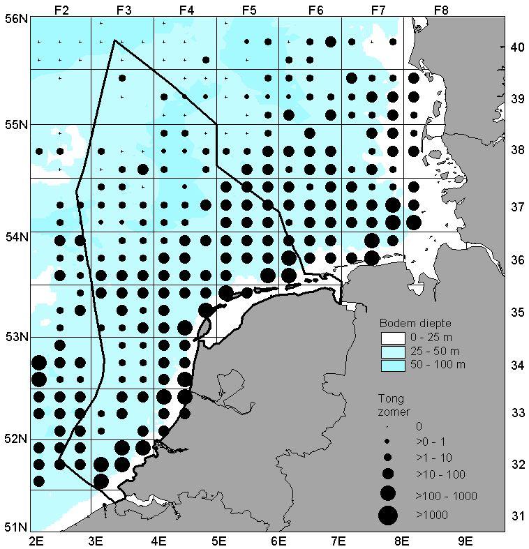 Rapport C082/05 pagina 13 van 13 Figuur 7: Gemiddelde jaarlijkse vangst (aantallen per uur) voor tong (Solea vulgaris)