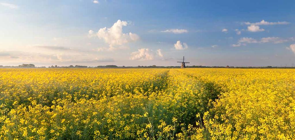 In veel P10 gemeenten wordt al ingezet op hergebruik, reparatie en recycling en het terugwinnen van energie uit reststoffen Economie van de toekomst is circulair Veel P10 gemeenten zetten nu al in op