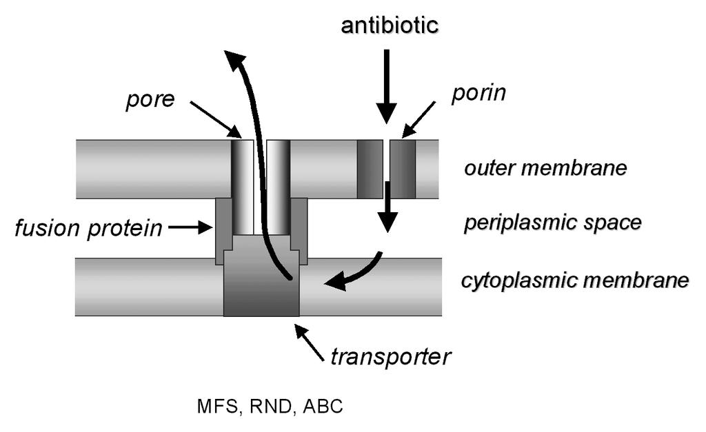 Transport van antibiotica
