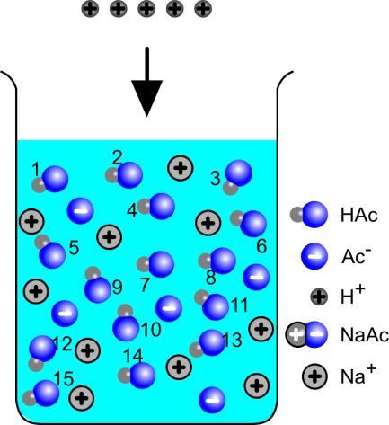 maar die ionen spelen verder geen rol. Tooegen van een sterk zuur ( ) doet de p nauwelijks veranderen, omdat praktisch alle toegoegde protonen met de aanwezig Ac -ionen combineren Ac.