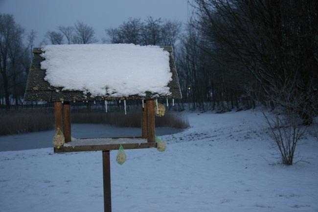 powerpoint Winter doelgroep: eerste, tweede, derde, vierde, duur: ongeveer 2 uur vijfde en zesde leerjaar kostprijs: gratis data: december, januari en februari groep: max.