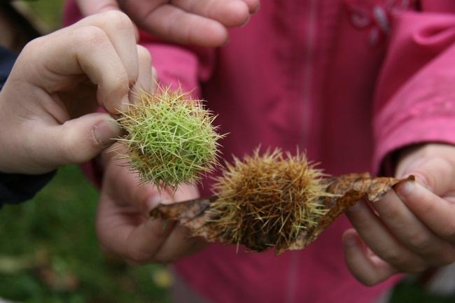 30 leerlingen locatie: NEC Waterrijk aanbod van: Verlorenbroodstraat 106 A, Merelbeke Tijdens deze wandeling houden we een natuurquiz bij de pare