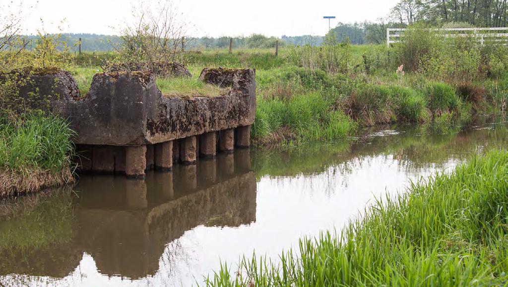 Wandelroute Wedbroeken 1 NP Drentsche Aa Toegangspoort Wedbroeken. Startpunt van de wandelroute. Op de informatiezuil is informatie over de regio te vinden.