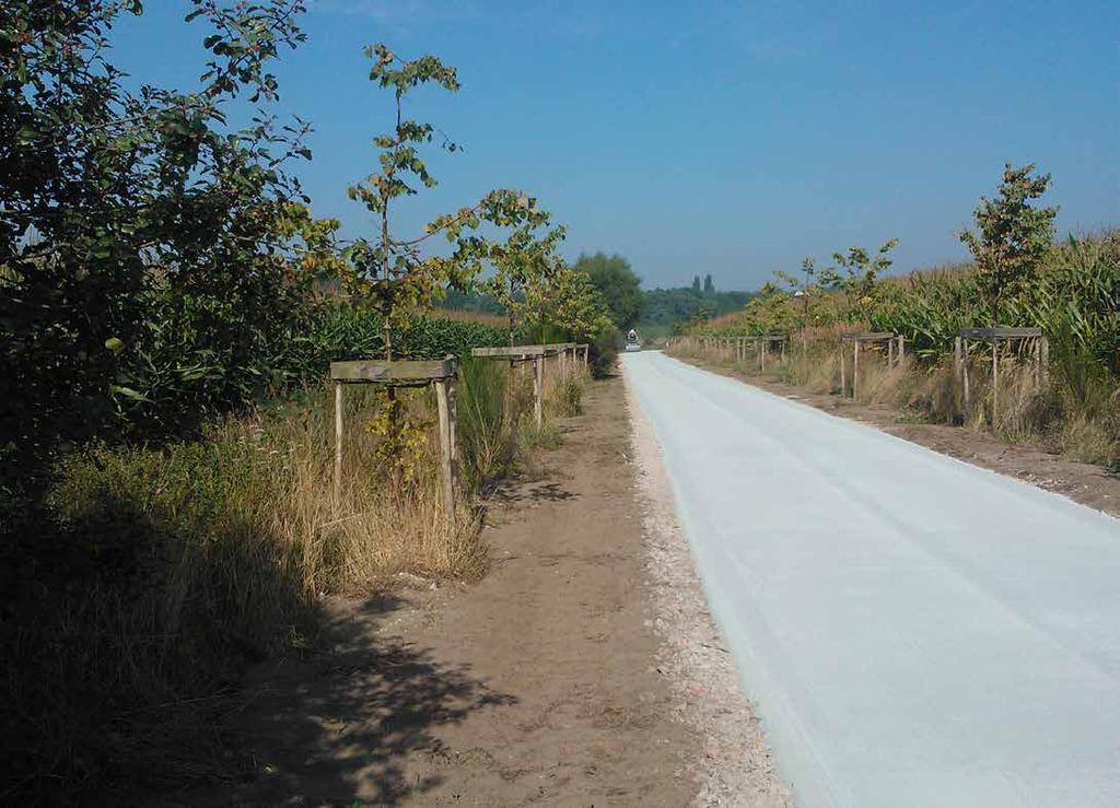 Inrichtingsplan Stadsbos Deinze 6 Aanleg fietspad Nieuw Goed te Parijs - Oude Heirweg Geboortedreef VOOR Deze dreef werd ingericht als fietspad