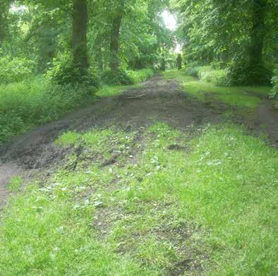 Inrichtingsplan Stadsbos Deinze 2 Inrichting Astenedreef Astenedreef Astenedreef is een meer dan 200 jaar oude dreef met een dubbele rij lindebomen en ondergroei van talrijke bosplanten.