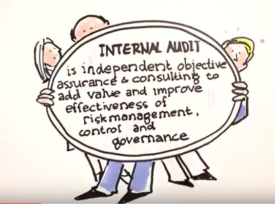 Wat is internal audit